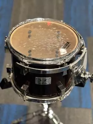 Pork Pie 10 x 8 Little Squealer Tom